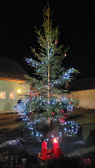 Rozsvěcení vánočního stromu - fotografie a videa 1